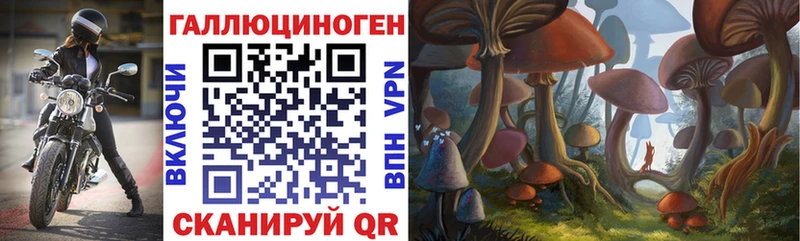 Псилоцибиновые грибы Cubensis  Купить где  Дальнереченск 