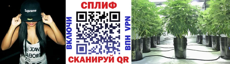 Шишки марихуана THC 21%  Купить закладки  Дальнереченск 